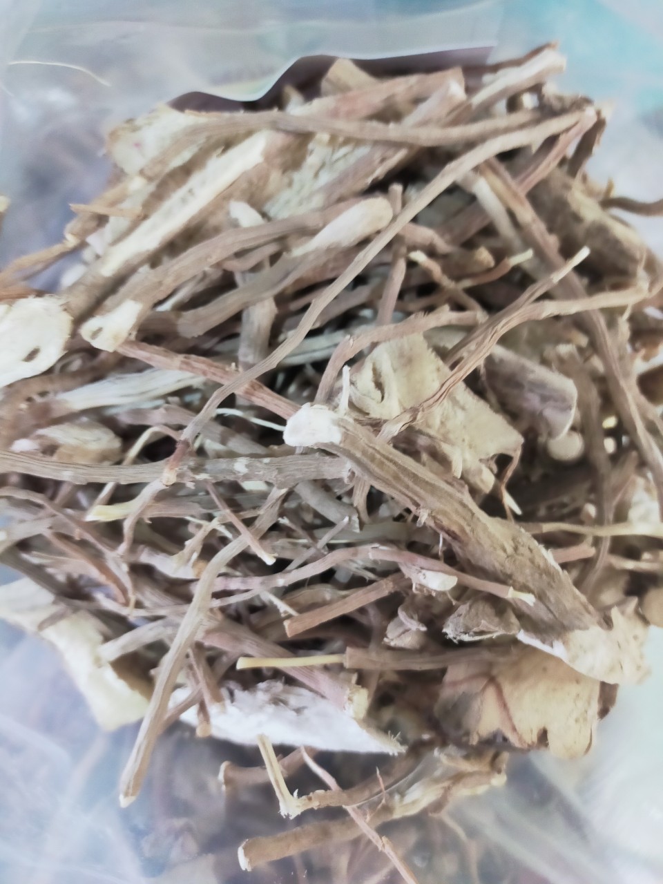 z4660247986291_bc16e4979d9acb8792b9c8c7213859a2 Sâm sức khoẻ khô