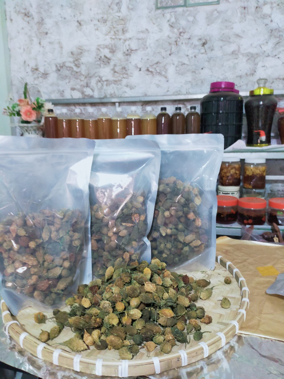 z4660269529029_99d07534ede4c7bd2fa689750b9d84bc Khổ qua rừng