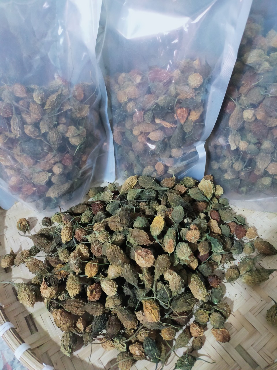 z4660269533216_ffab7866fc926a0870819e59d8172073 Khổ qua rừng