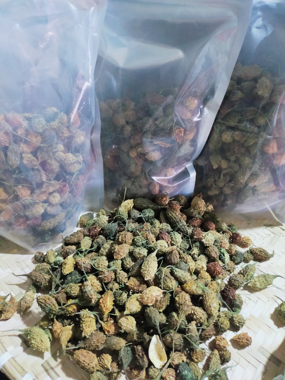 z4660269534791_e14a99248600de230760291c63d32ff5 Khổ qua rừng