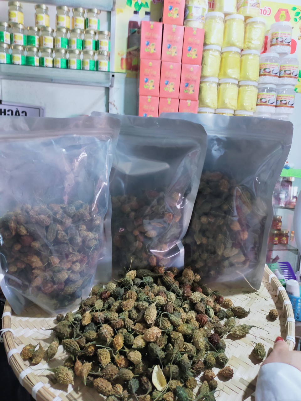 z4660269539325_61d1fc7bed88db5bdb19f4ae9b54fe2e Khổ qua rừng