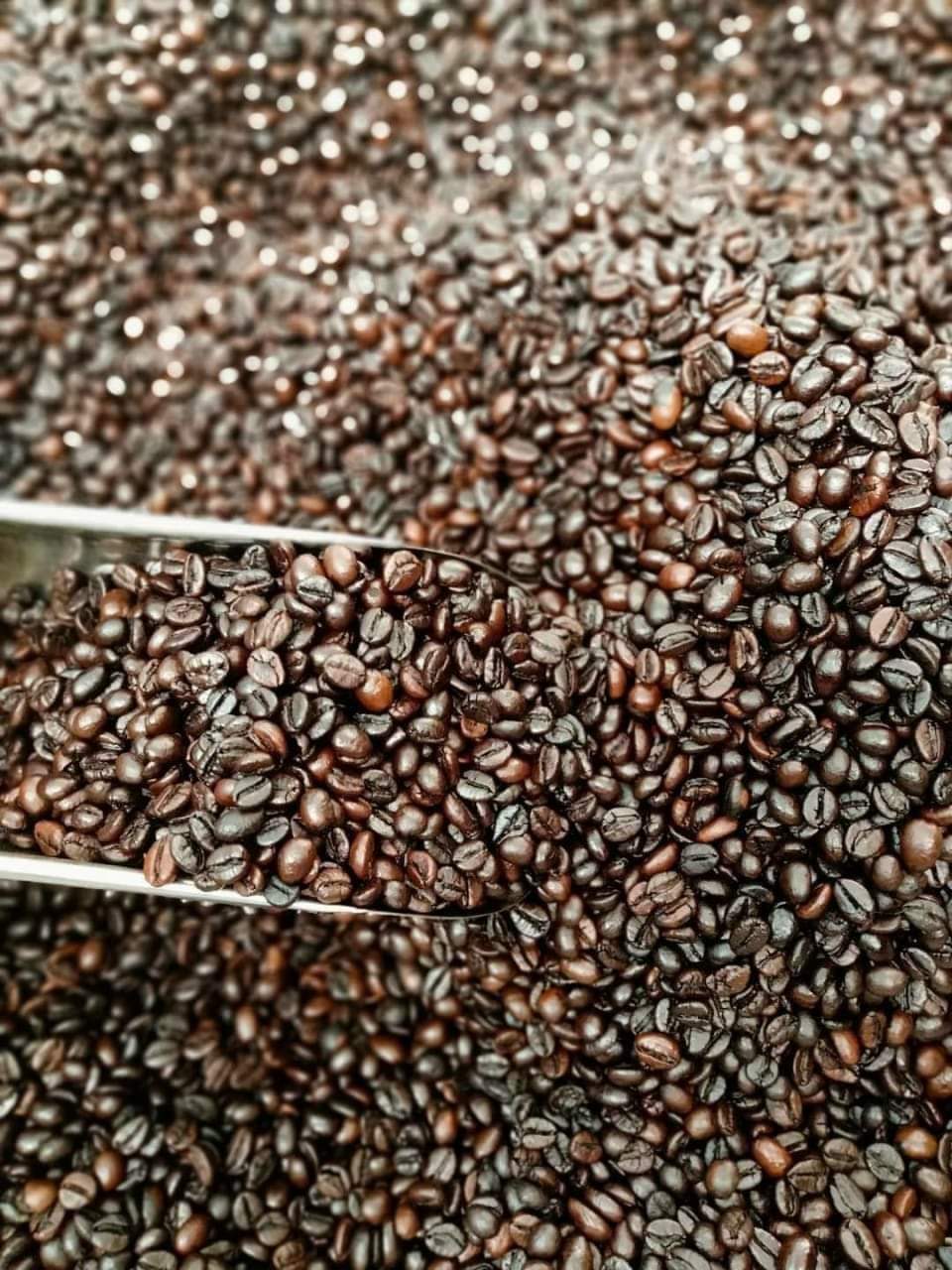 z4660338868007_37c80998a42dc707e507f2335f62135b Cà phê nguyên chất