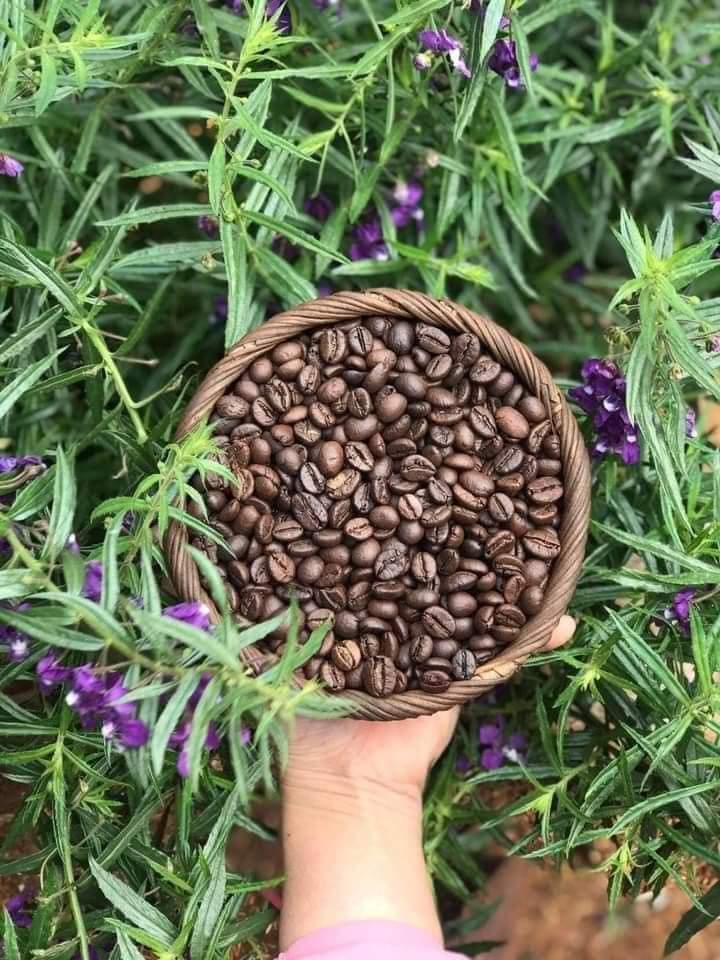 z4660338869882_2ddfadccb5a073a56ecad4cfc3f54759 Cà phê nguyên chất