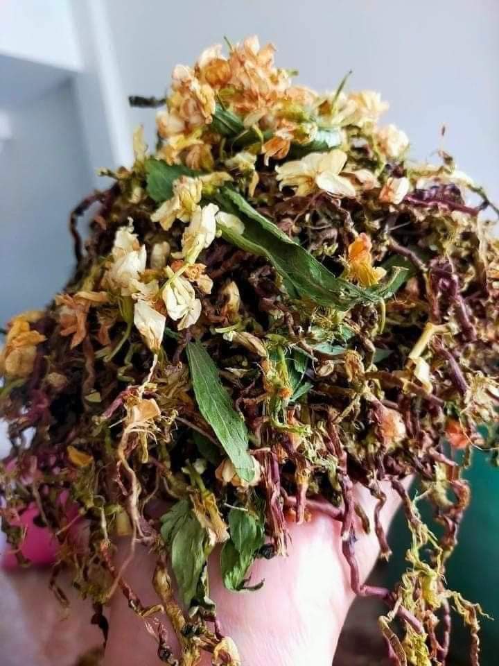 z4660974049405_1a59c314600a1da06a8bcb062667d416 Trà sơn mật hồng sâm