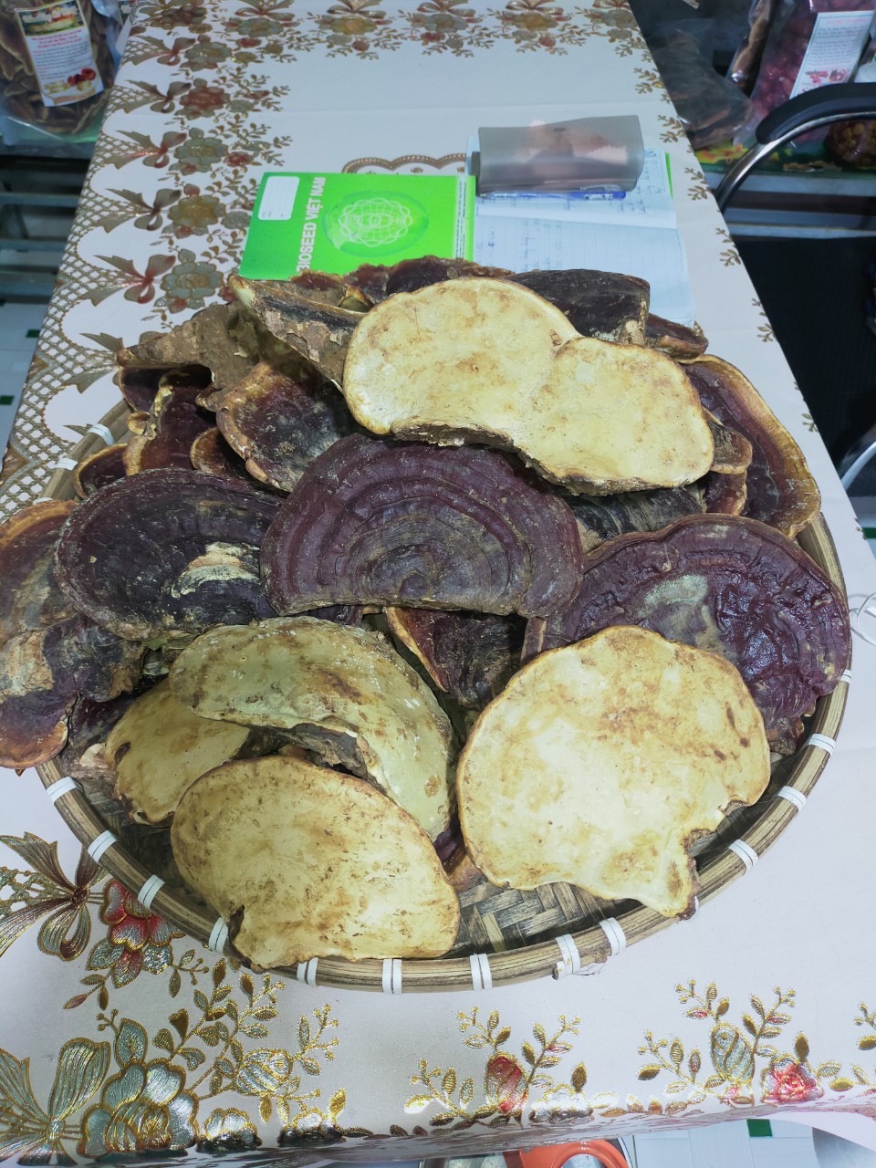 z4660994369799_b20cd1b79b8bbfe08fb9c063177ed337 Nấm linh chi nguyên tai