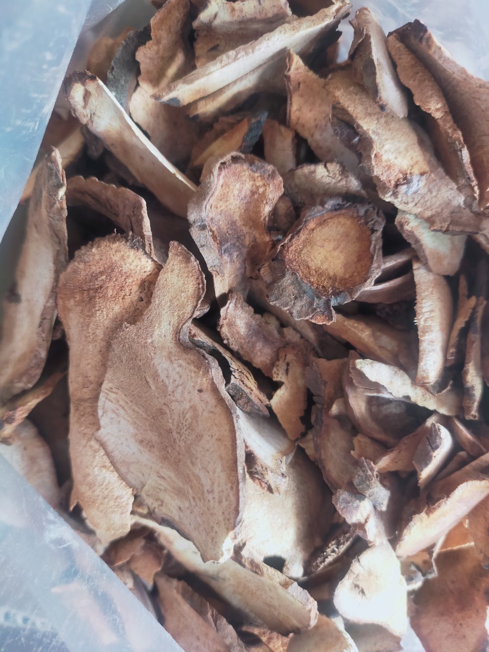 z4661073336904_1b6edf4e207912afa61c954621d44bee Củ khúc khắc