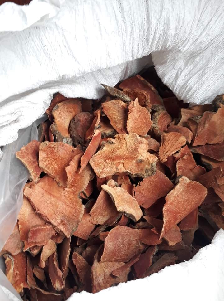 z4661073341468_6891f28cb9a71befc29ecf33963fc5a8 Củ khúc khắc