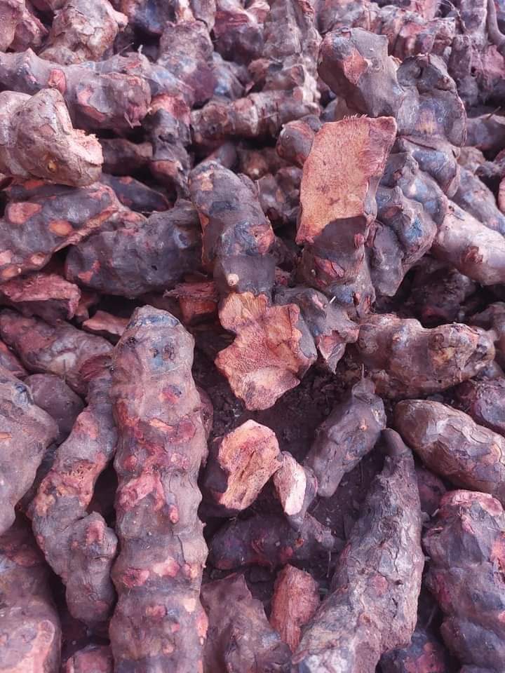 z4661073341770_081df26b5b48bbd6495c0b37d0a262b9 Củ khúc khắc